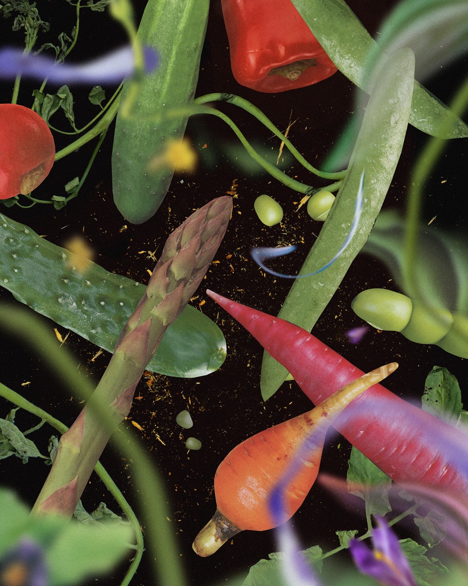 Image by Nicole Beno for Noema Magazine.