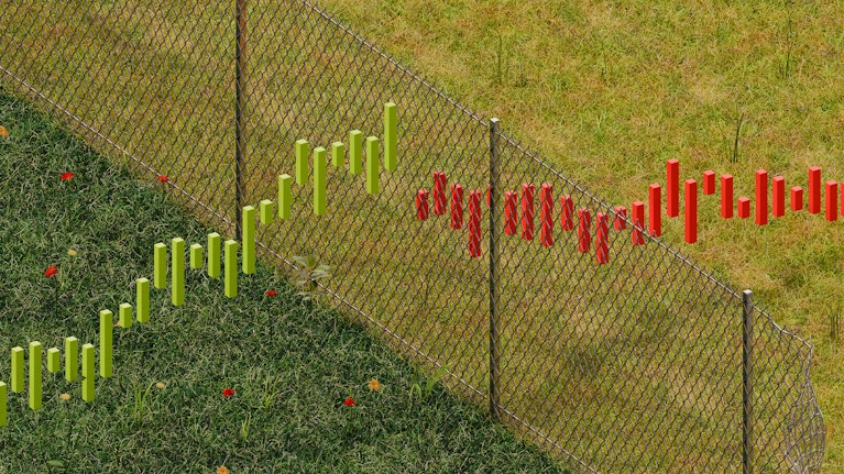 Illustration by Dhrutika Khimani for Noema Magazine.