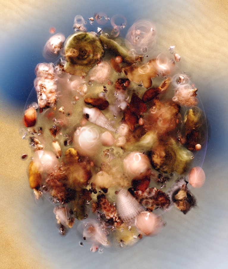 Illustration by Kristian Glenn for Noema Magazine.